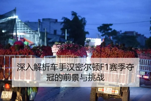 深入解析车手汉密尔顿F1赛季夺冠的前景与挑战