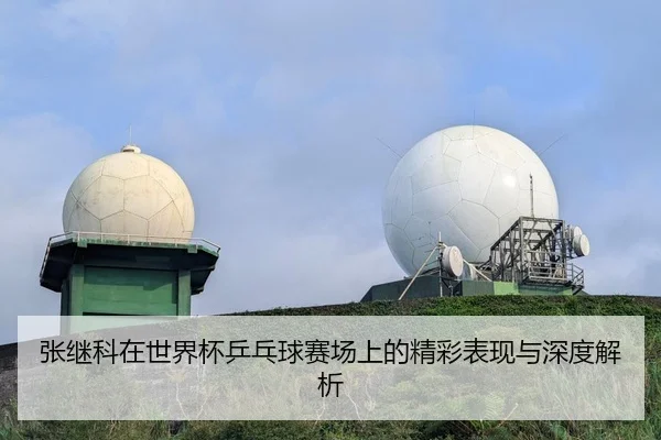 张继科在世界杯乒乓球赛场上的精彩表现与深度解析